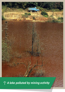 Lake polluted by mining activity